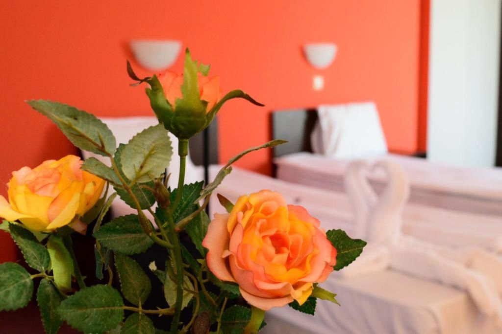 Отель Hotel Alexander София-50