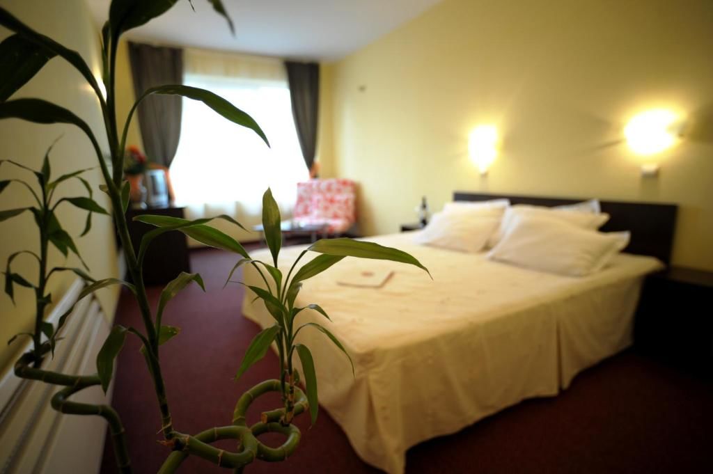 Отель Hotel Alexander София-65